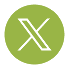 X Icon